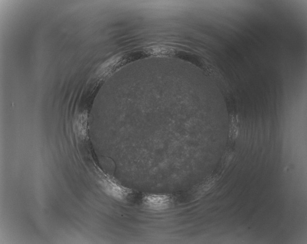 X0000078020189200610271243