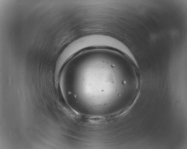 X0000078020190200610271243