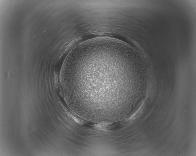 X0000078020192200610271243