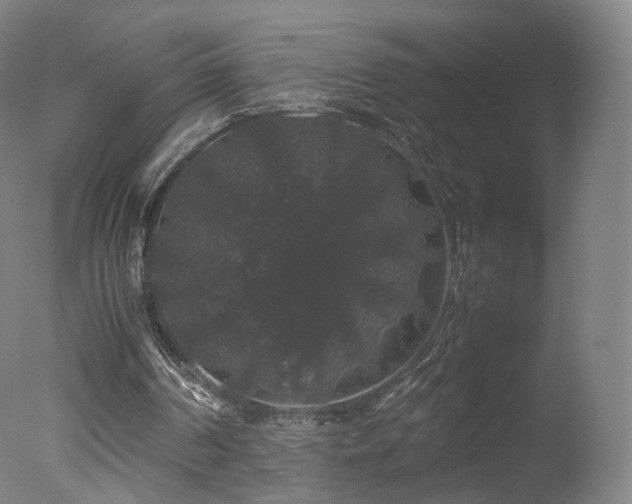 X0000078020194200610271243