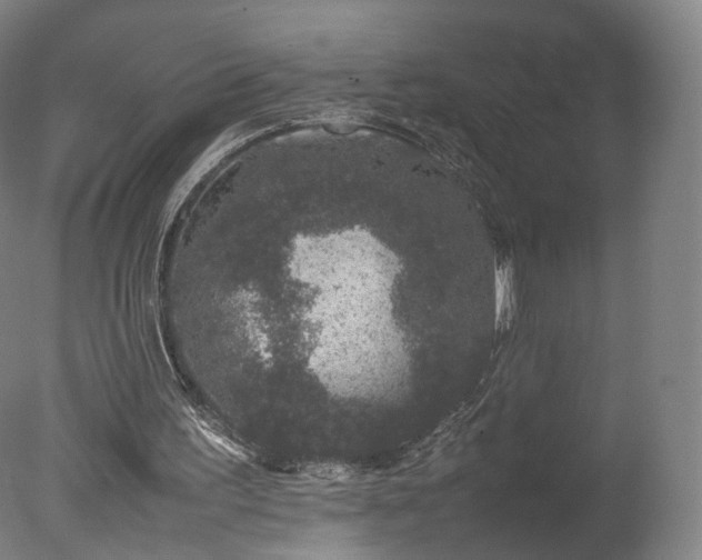 X0000078020195200610271242