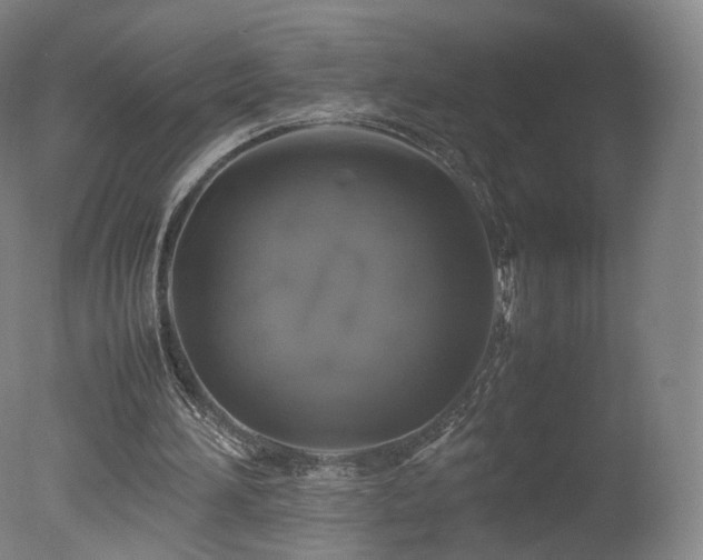 X0000078020196200610271242