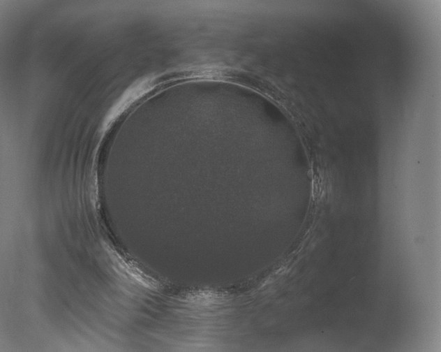 X0000078020198200610271242