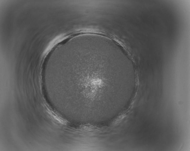 X0000078020199200610271242