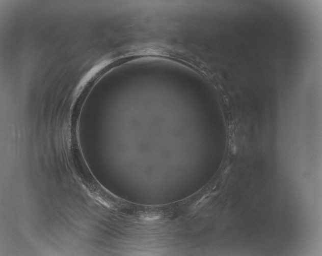 X0000078020200200610271242