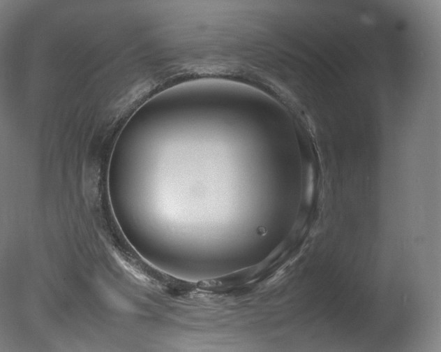 X0000078020201200610271242