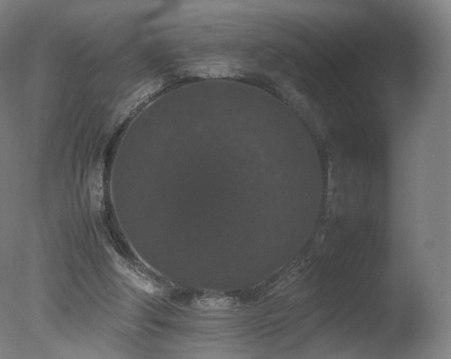 X0000078020202200610271242