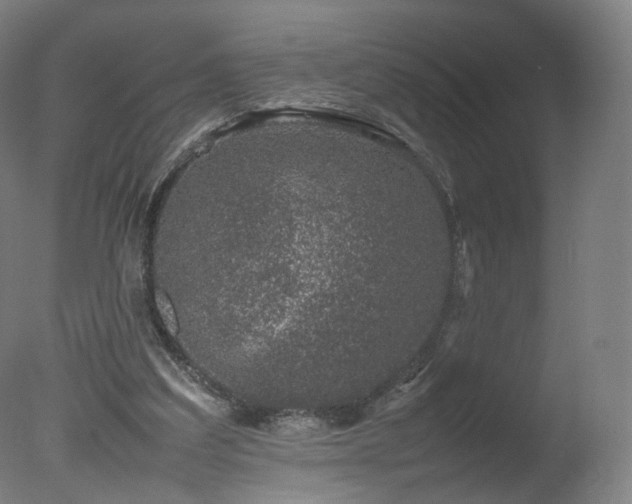 X0000078020203200610271242