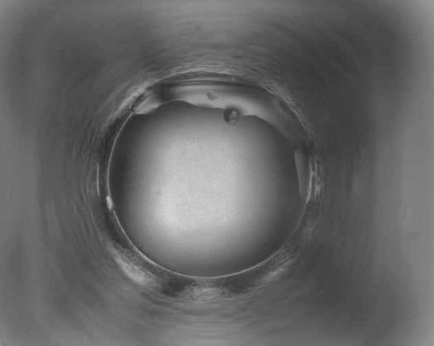 X0000078020205200610271242