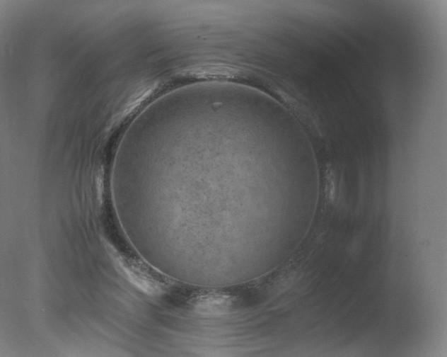 X0000078020206200610271242