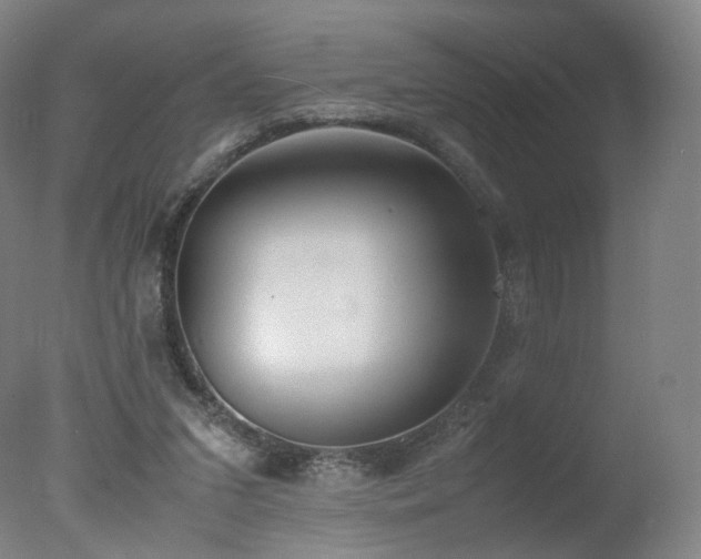 X0000078020207200610271242