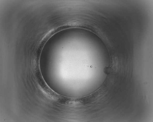 X0000078020208200610271242