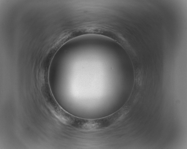 X0000078020213200610271242