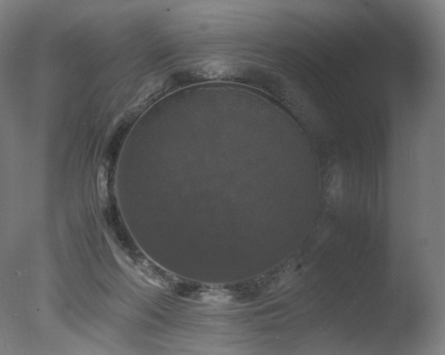 X0000078020214200610271242