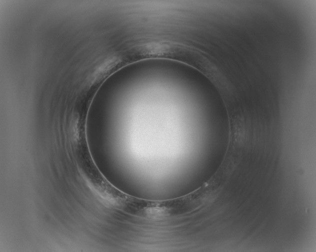 X0000078020216200610271242