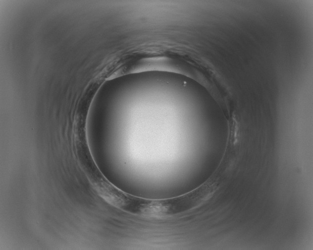 X0000078020217200610271242