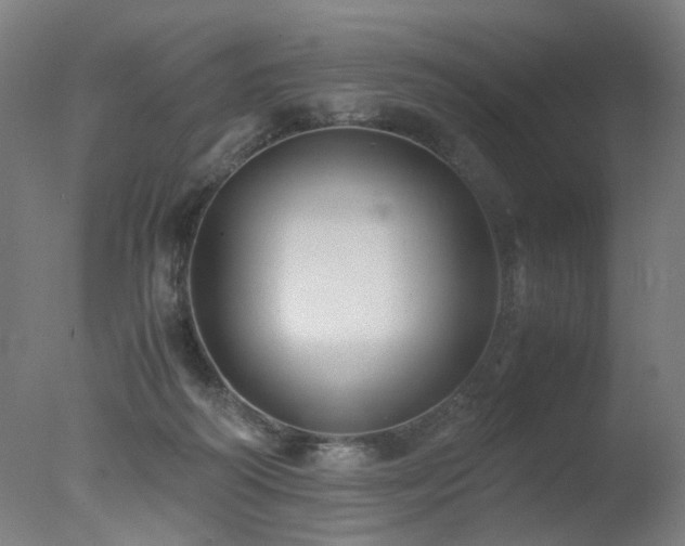 X0000078020218200610271242