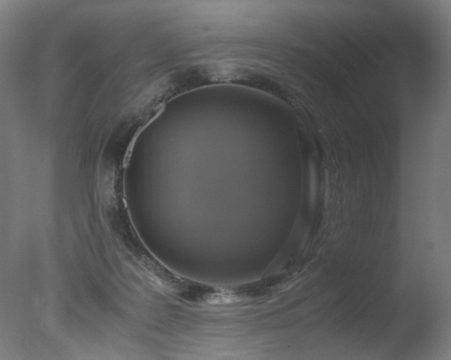 X0000078020219200610271242