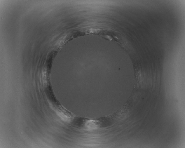 X0000078020222200610271242