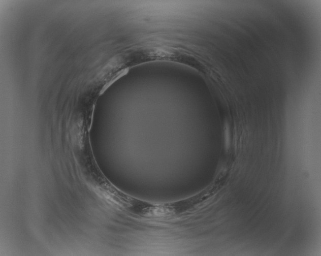 X0000078020223200610271242