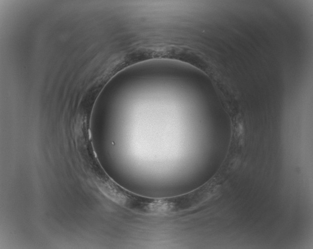 X0000078020225200610271242