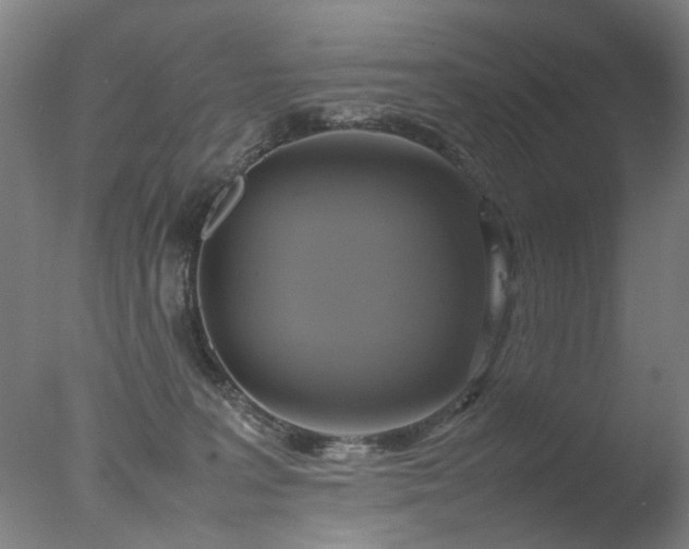 X0000078020227200610271242