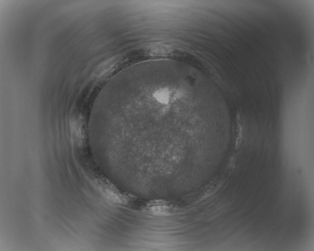 X0000078020228200610271242