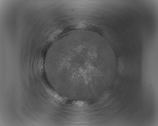 X0000078020230200610271242