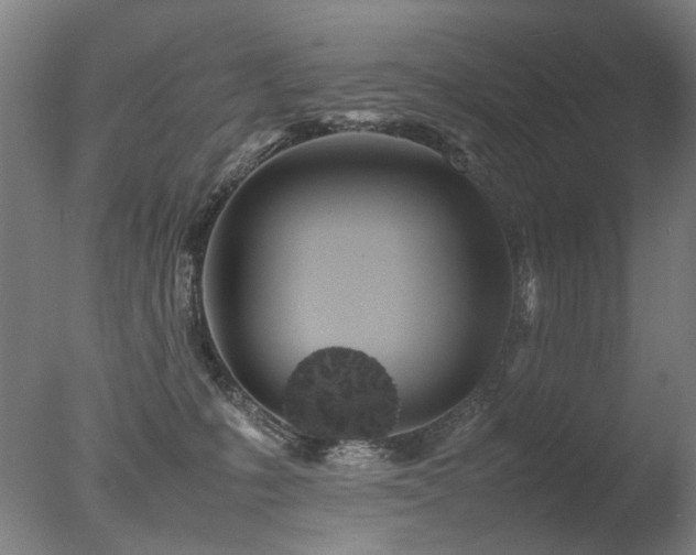 X0000078020231200610271242