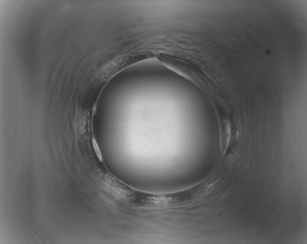 X0000078020233200610271242