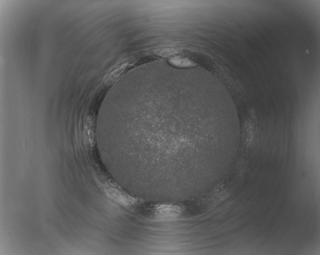 X0000078020234200610271242