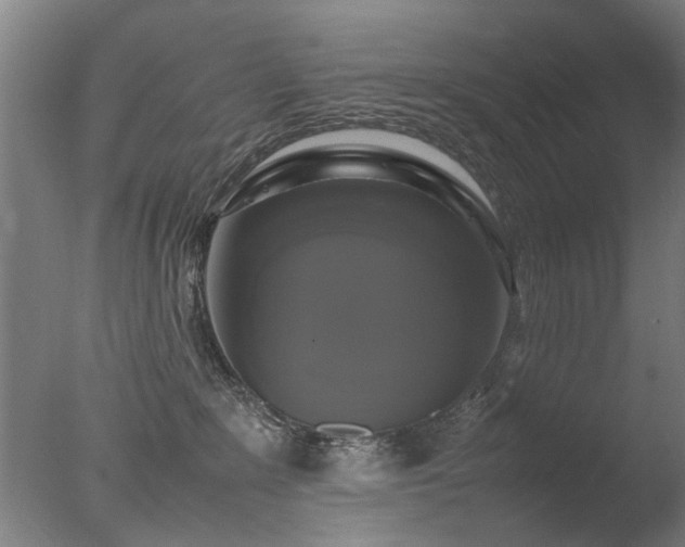 X0000078020235200610271242