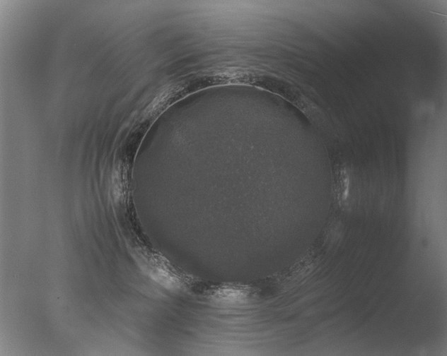 X0000078020236200610271242