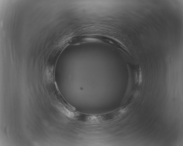 X0000078020239200610271242