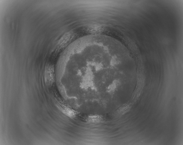 X0000078020240200610271242