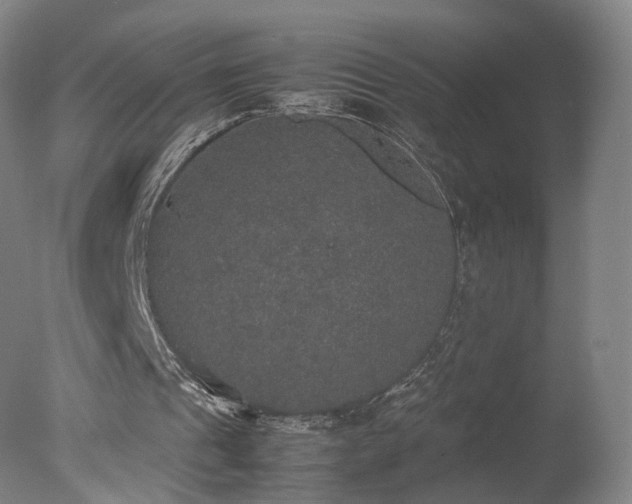 X0000078020241200610271241