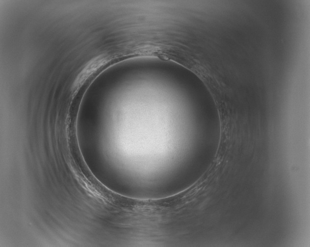 X0000078020242200610271241