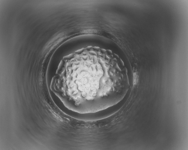 X0000078020243200610271241