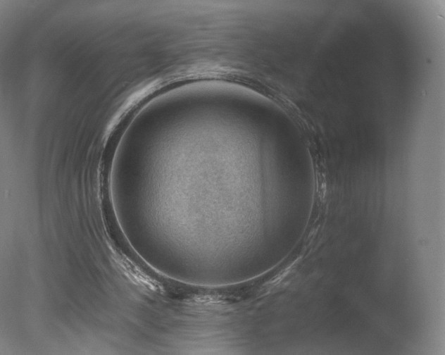 X0000078020244200610271241