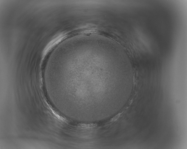 X0000078020245200610271241