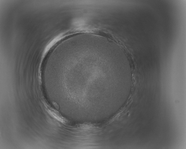 X0000078020246200610271241