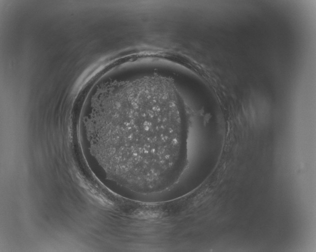 X0000078020247200610271241