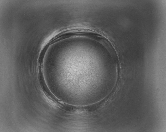 X0000078020248200610271241