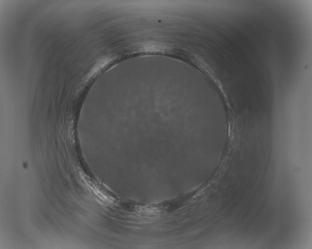 X0000078020249200610271241