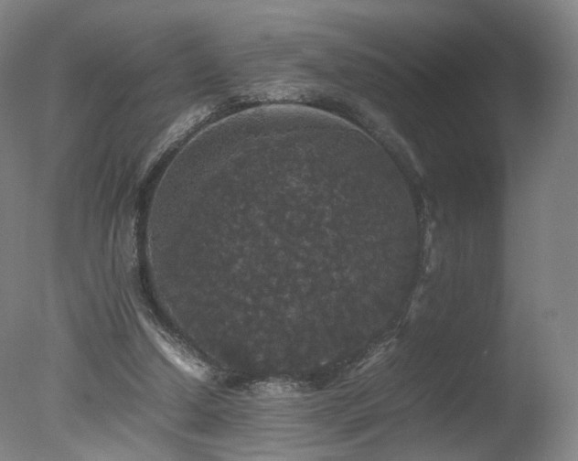 X0000078020250200610271241