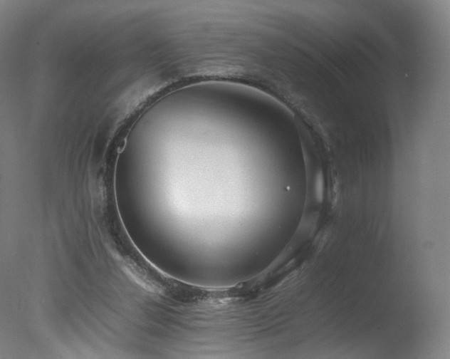 X0000078020252200610271241