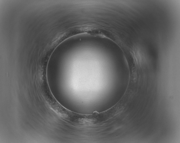 X0000078020255200610271241