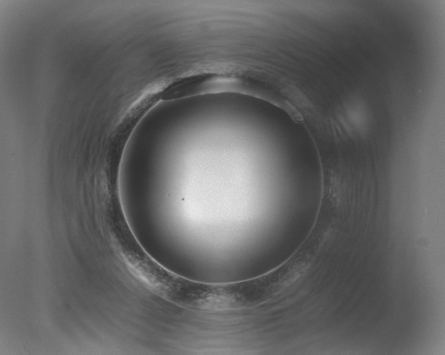 X0000078020256200610271241