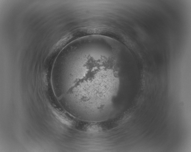 X0000078020258200610271241