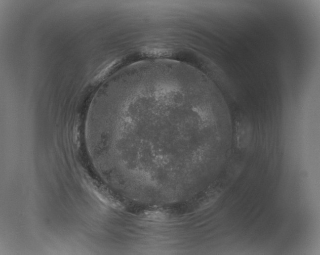 X0000078020259200610271241